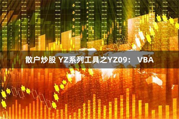 散户炒股 YZ系列工具之YZ09： VBA