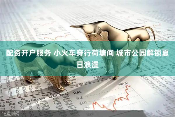 配资开户服务 小火车穿行荷塘间 城市公园解锁夏日浪漫